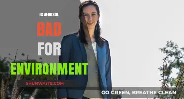Aerosol's Environmental Impact: Uncovering the Hidden Harms and Solutions