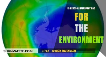 Is Aerosol Hairspray Harming Our Planet? Environmental Impact Explained