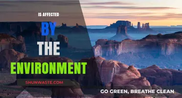 How Our Surroundings Shape Us: The Environment's Impact on Life