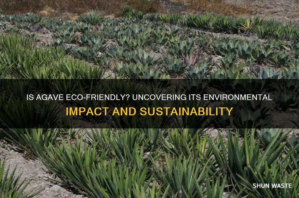 is agave bad for the environment