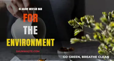 Agave Nectar's Environmental Impact: Sustainable Sweetener or Eco-Disaster?
