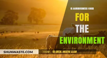 Agribusiness and the Environment: Sustainable Practices or Ecological Threat?