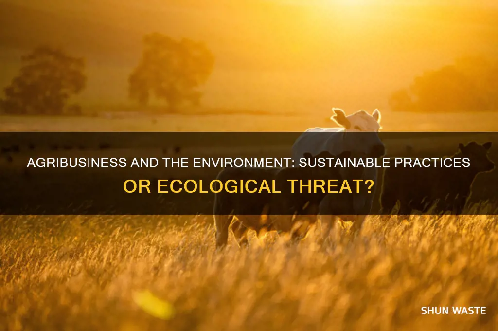 is agribusiness good for the environment