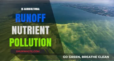 Agricultural Runoff: Nutrient Pollution's Impact on the Environment