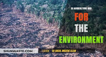 Agriculture's Environmental Impact: Harmful Practices or Sustainable Future?