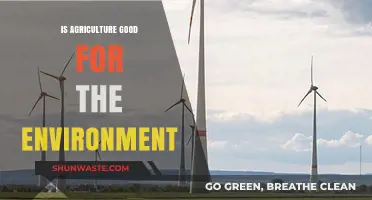 Agriculture's Environmental Impact: Sustainable Practices vs. Ecological Challenges
