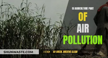 Agriculture's Role in Air Pollution: A Complex Relationship