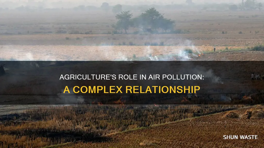 is agriculture part of air pollution