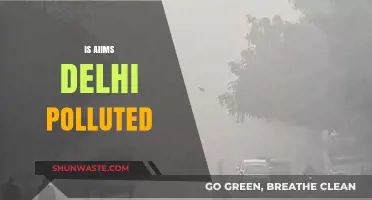 Air Pollution at AIIMS Delhi: A Health Risk?