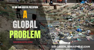 Air and Water Pollution: A Global Crisis