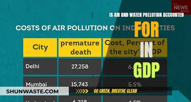 The Hidden Cost of Pollution: GDP's Blind Spot