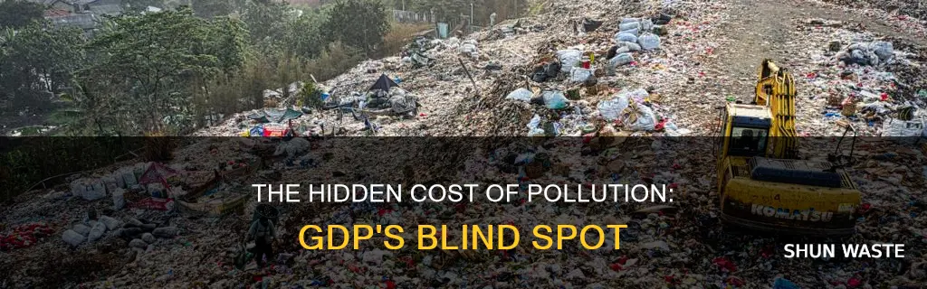 is air and water pollution accounted for in gdp