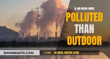 Air Quality Alert: Is Indoor Air More Polluted?