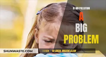 Air Pollution: A Looming Crisis or Overblown Concern?