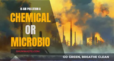Air Pollution: Chemical or Microbe?