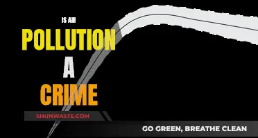 Air Pollution: A Crime Against Our Health?