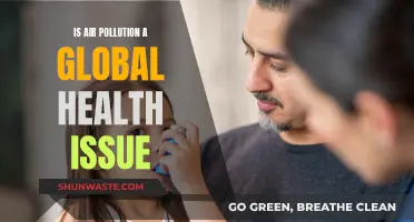 Air Pollution's Global Health Crisis: What's the Real Cost?