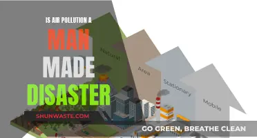 Air Pollution: Man-Made Disaster or Natural Phenomenon?