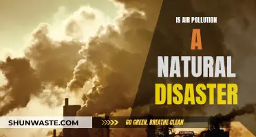Air Pollution: A Natural Disaster or Human Error?