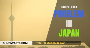 Air Pollution in Japan: A Growing Concern?