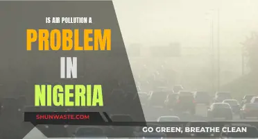 Air Pollution in Nigeria: A Growing Concern?