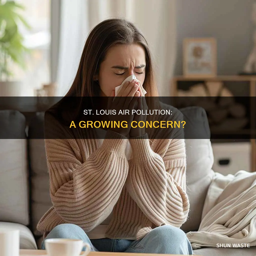 is air pollution a problem in st louis