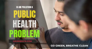 Air Pollution: A Public Health Crisis and Challenge