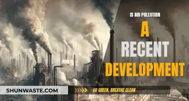 Air Pollution: A Historical Perspective on Recent Developments