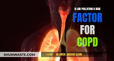 Air Pollution: COPD Risk Factor and Public Health Concern