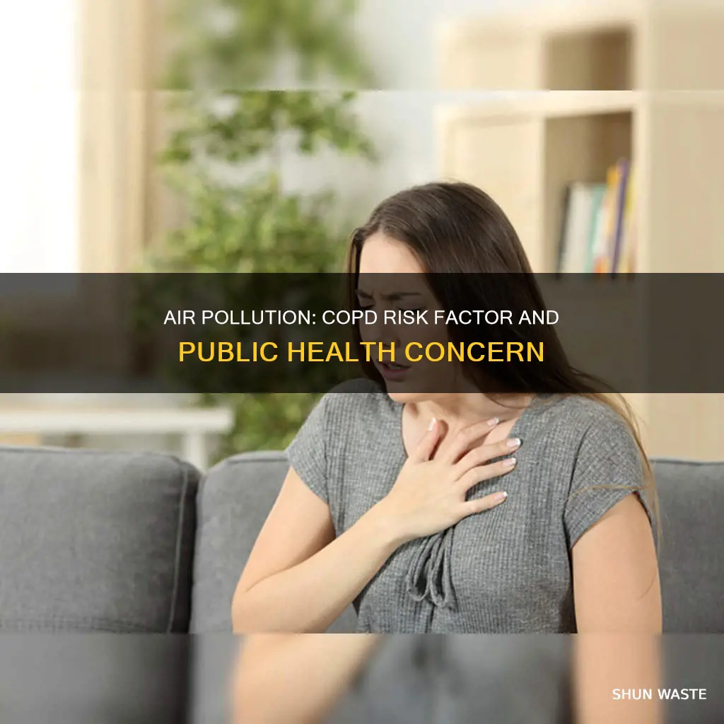 is air pollution a risk factor for copd
