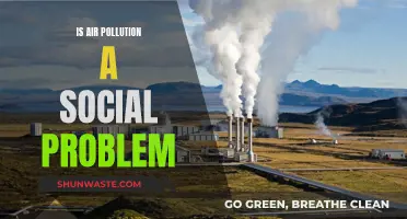 Air Pollution: A Social Problem and Public Health Crisis
