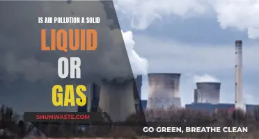 Air Pollution: What's the Real State of Matter?