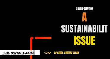 Air Pollution: Sustainability's Silent Killer