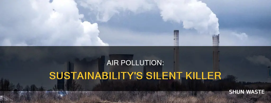 is air pollution a sustainability issue