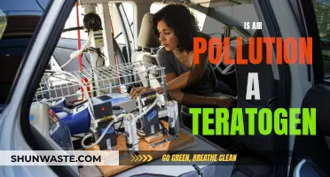 Air Pollution: Unborn Health and Teratogen Risks