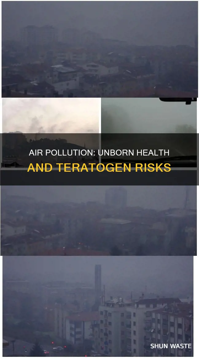 is air pollution a teratogen