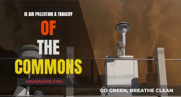 Air Pollution: A Tragedy of Commons?