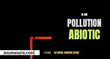 Air Pollution: Understanding Its Abiotic Nature