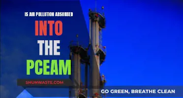 Air Pollution: Absorption into Our Skin and Body
