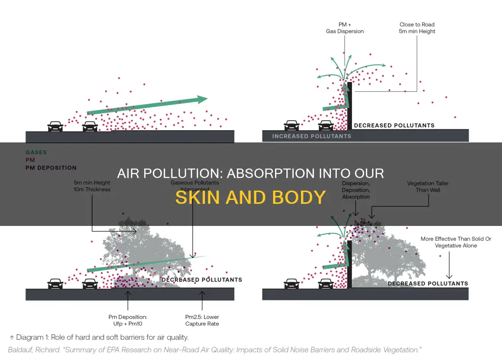 is air pollution absorbed into the pceam