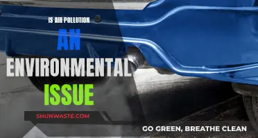 Air Pollution: A Global Environmental Crisis?