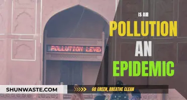 Air Pollution: A Slow-Burning Epidemic?