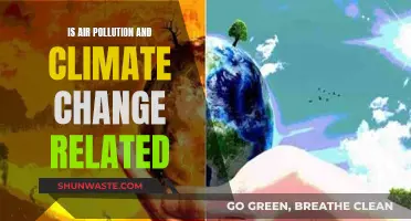 Air Pollution's Climate Change Connection