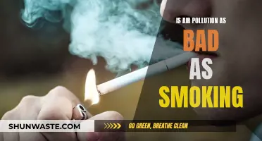 Air Pollution vs Smoking: Who's the Deadlier Killer?