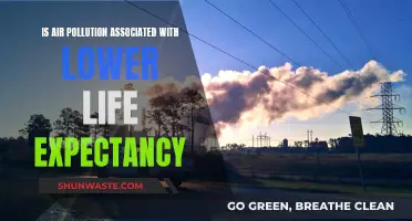 Air Pollution's Impact: Life Expectancy and Health