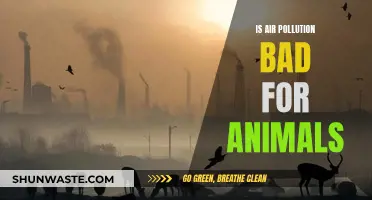 Air Pollution's Impact on Animals: A Growing Concern