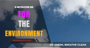 Air Pollution's Devastating Impact: How It Harms Our Environment