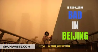 Air Pollution in Beijing: Is It Still Hazardous?
