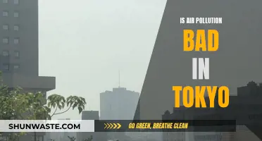 Air Pollution in Tokyo: Is It Safe to Breathe?