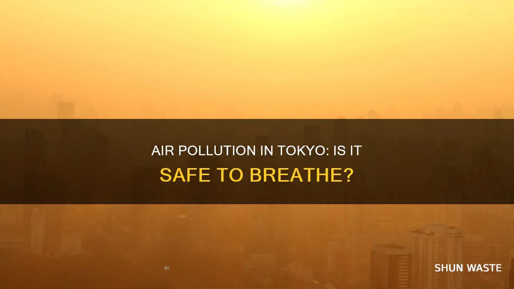 is air pollution bad in tokyo